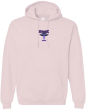 Load image into Gallery viewer, BLAXTAR HOODIE